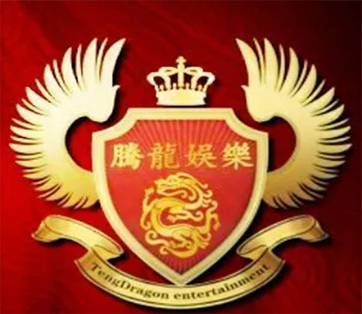 腾龙公司是一家什么样的公司